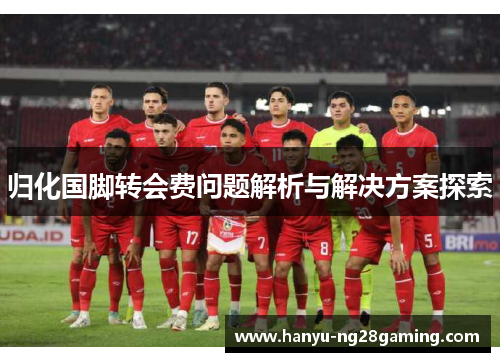 归化国脚转会费问题解析与解决方案探索