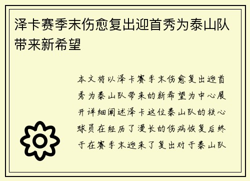 泽卡赛季末伤愈复出迎首秀为泰山队带来新希望